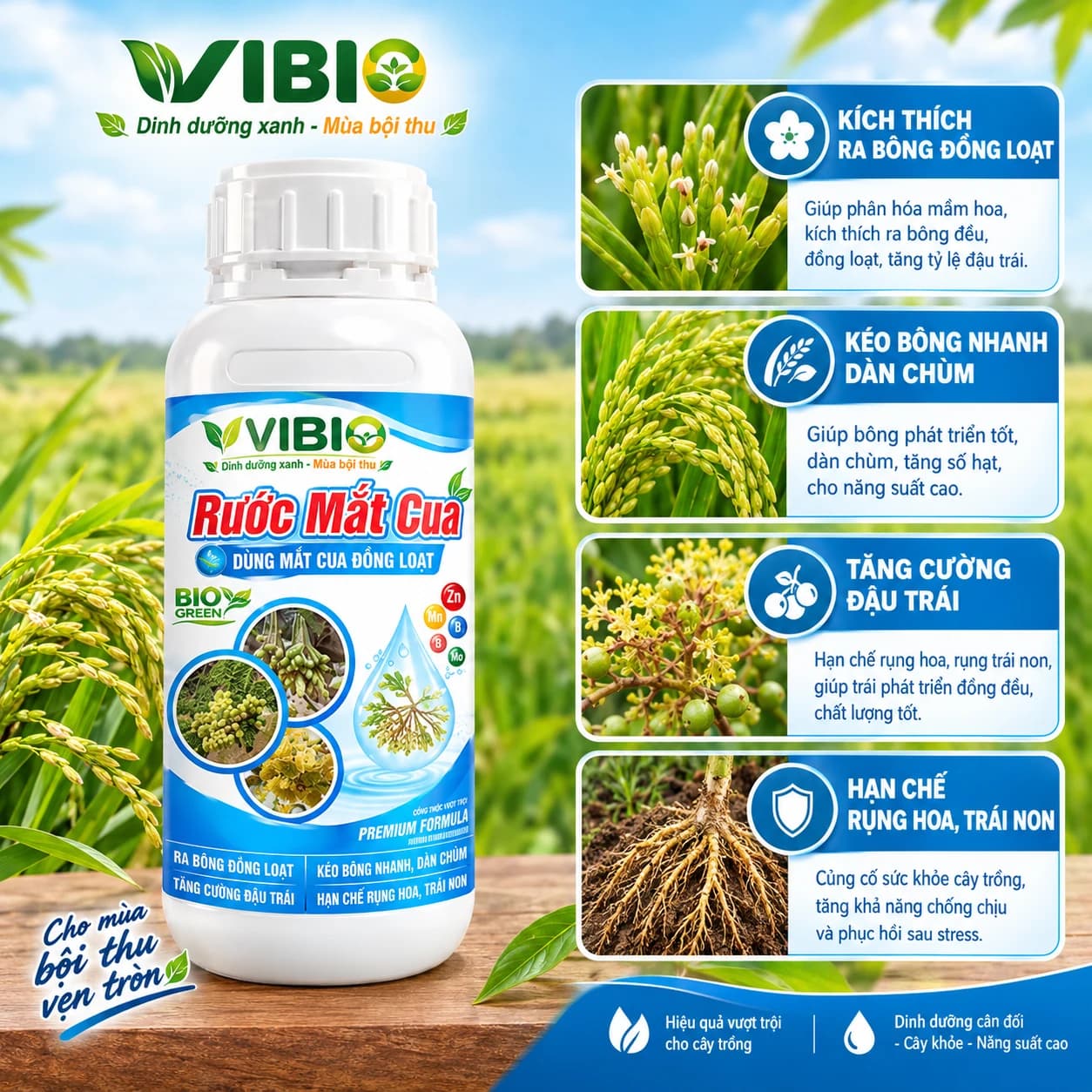 RƯỚC MẮT CUA – Đón mắt cua, gọi mùa hoa