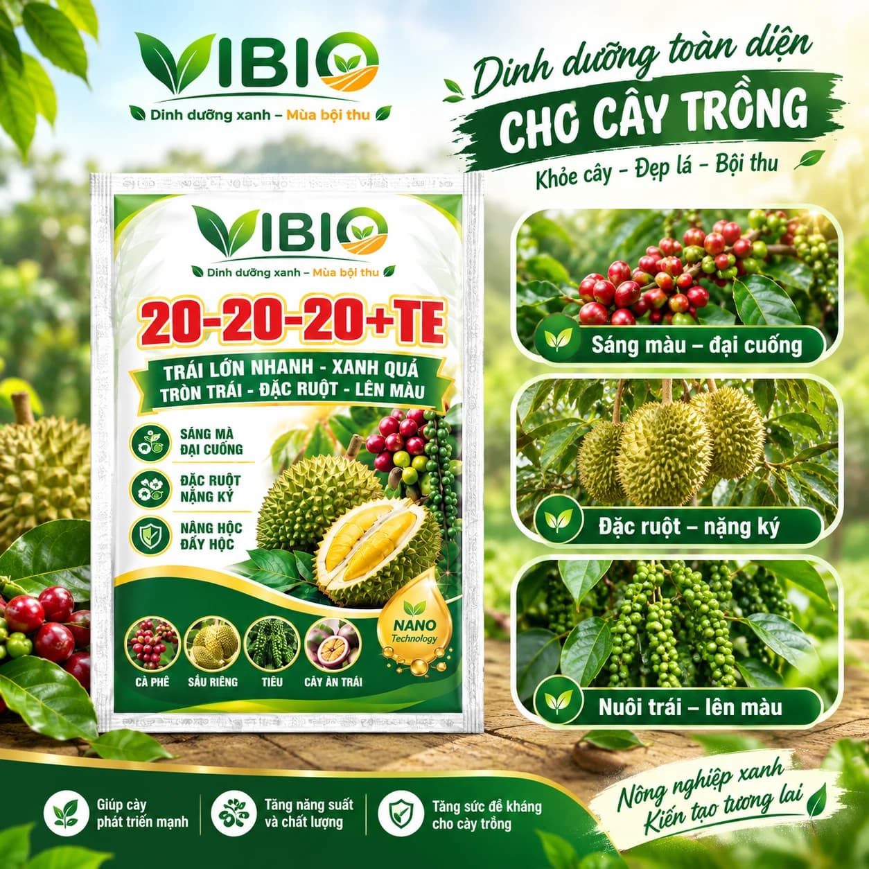 20-20-20+TE – Dinh dưỡng cân đối, cây khỏe trái ngon
