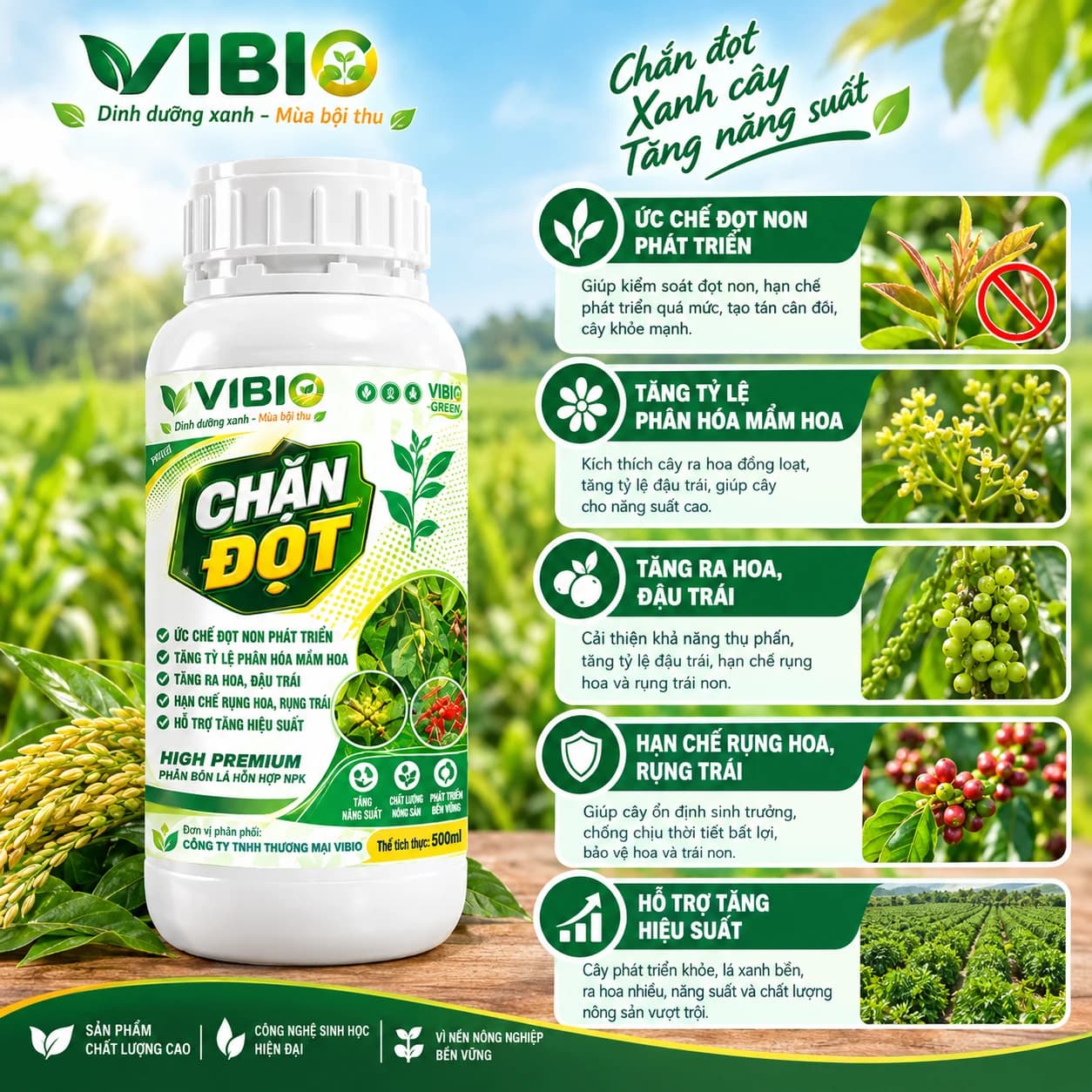 CHẶN ĐỌT – Hãm đọt đúng lúc, gom lực làm hoa