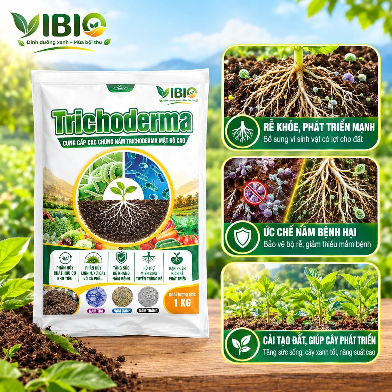 TRICHODERMA – Đất khỏe rễ bền, cây xanh sức sống