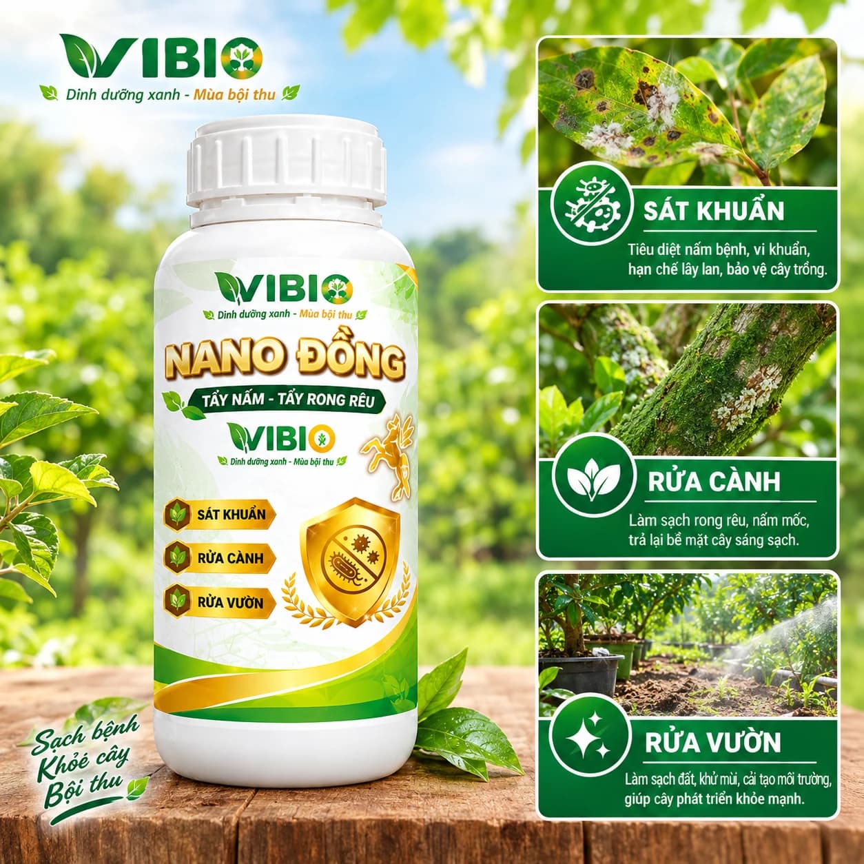 NANO ĐỒNG – Đồng chelate bảo vệ, vườn cây khỏe mạnh